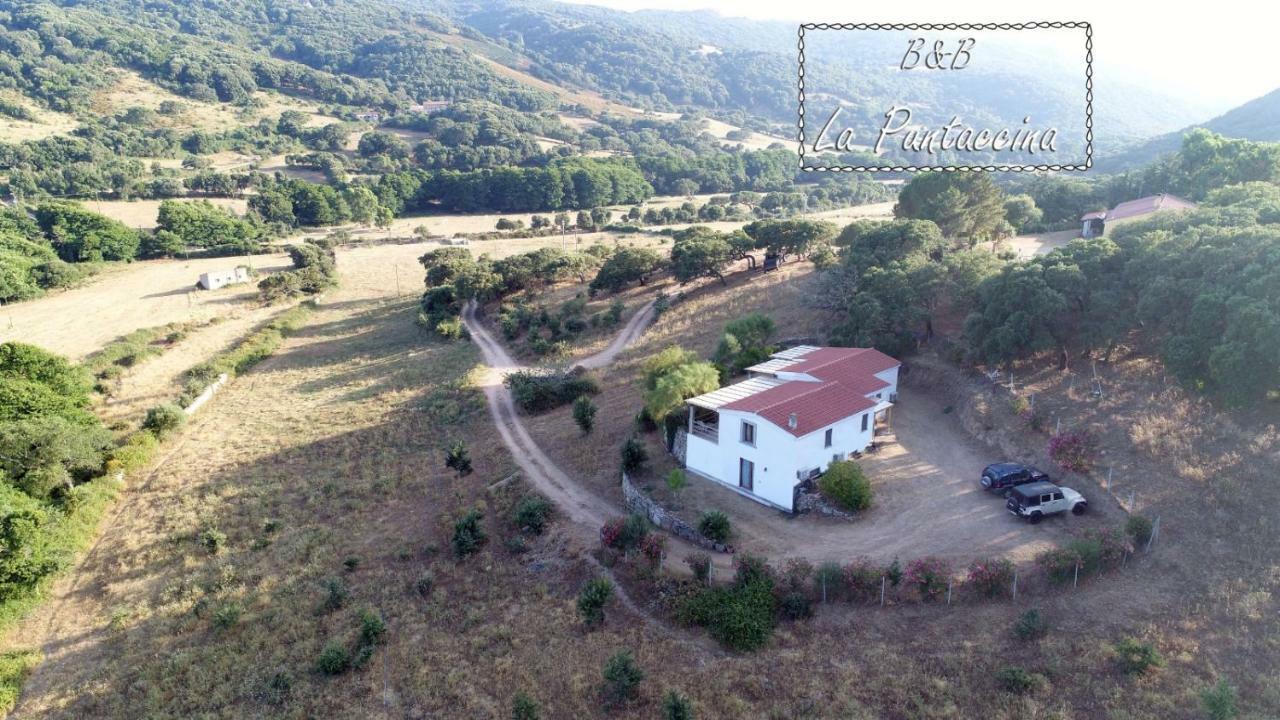 La Puntaccina Vila Aglientu Exterior foto